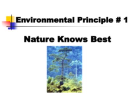 Solution 7 Environmental Principles Studypool