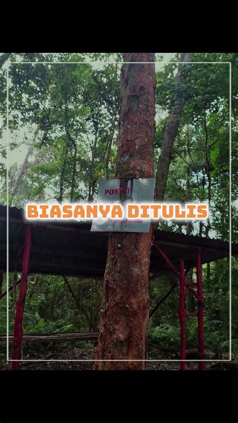 Ternyata Dulu Pernah Gunung Pesagi Pendakigunung Camping Lampung