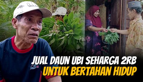 Jadi Buruh Tani Bantu Pak Amran Berjuang Demi Hidupi Istri Lumpuh