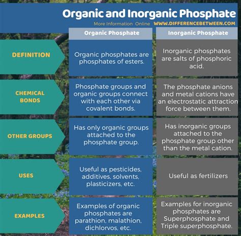 The Difference Between Organic And Inorganic