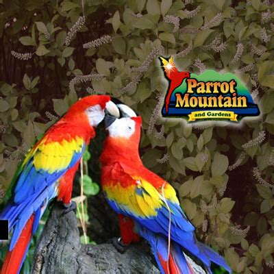 Parrot Mountain and Gardens Smoky Mountains - Best Read Guide Smoky Mountains