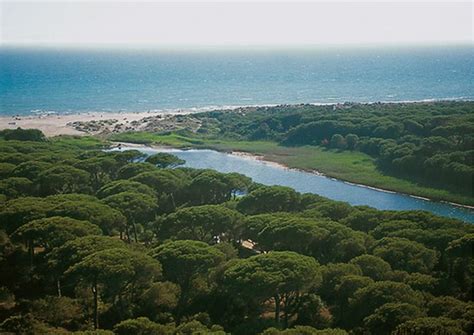 Tuscany Travel Guide The Most Beautiful Beaches Of Tuscany 2 From