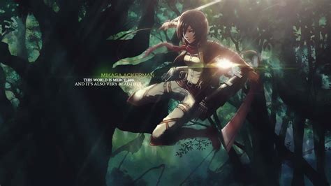 100 Mikasa Pfp Wallpapers