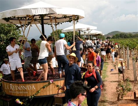 Vi Edos La Redonda Celebr A Os Y Sus Tradicionales Fiestas De La