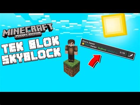 Tek Blok SkyBlock ServeriMinecraft PE Server YouTube