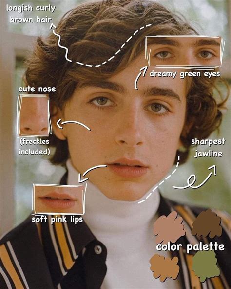 Pin By Montse H On Timothée Chalamet Timothee Chalamet Thimotée Chalamet Willy Wonka