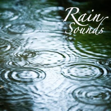 Rain Sounds Rain Sound Meditation Relaxing Sound Of Rain