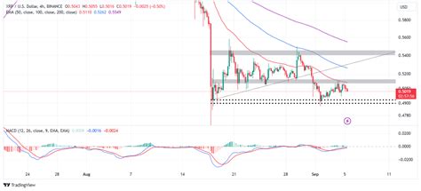 Predicción Del Precio de XRP XRP Corre El Riesgo De Caer Se