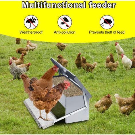 Hengda Mangeoire Poules Automatique 5KG Distributeur En Acier