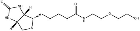 1H Thieno 3 4 D IMidazole 4 PentanaMide Hexahydro N 2 2