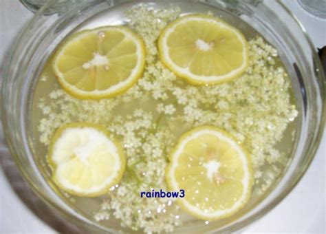 Holunderblüten Sirup Rezept mit Bild kochbar de