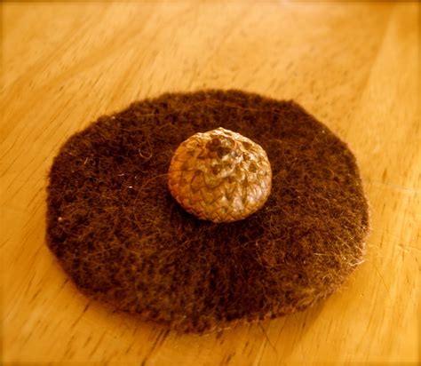 Twig And Toadstool Pussy Willow Wonderment