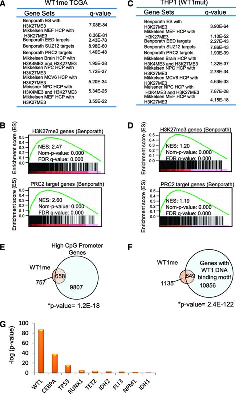 Wt Mutation Induces Dna Hypermethylation Of Prc Target Genes A B