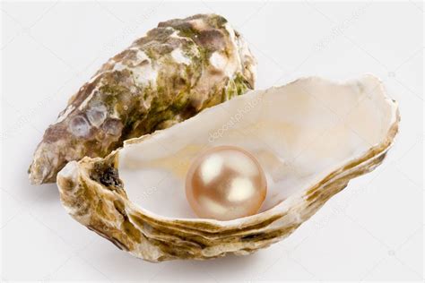 Beautiful Oyster Pearl