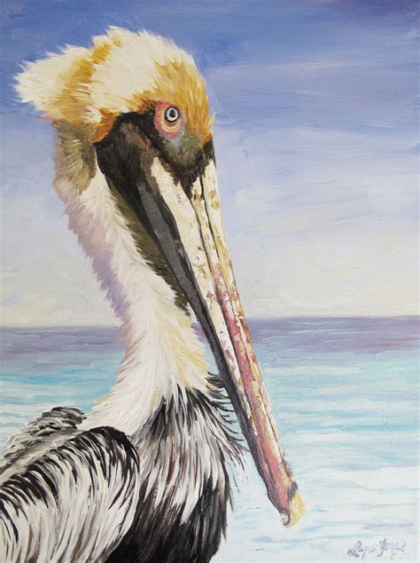 Pelican Prints Save15 Codesave15 Painting Prints Pelican Canvas