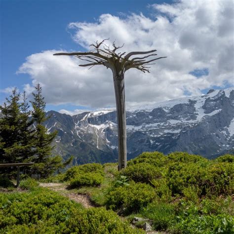 Kulturwandern Wandern Zur Kultur Themenwandern In Vorarlberg