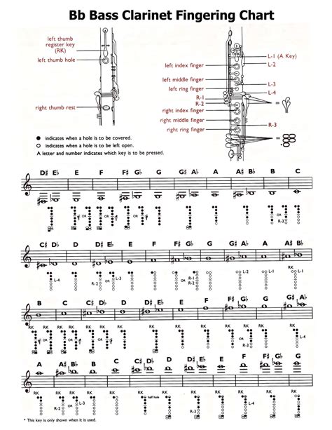 Fingering Chart Clarinet Clarinet Fingering Chart Printable Pdf Download