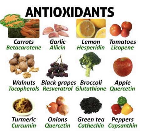 What Are Antioxidants Jcg Health