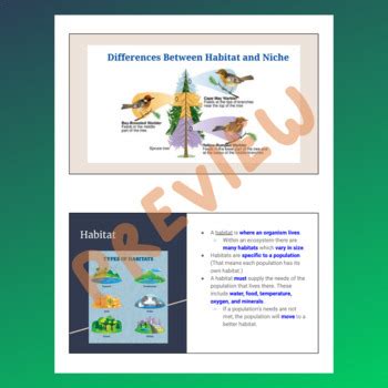 Habitat vs. Niche - Guided Notes by Corines Classroom | TPT