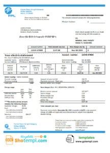 Usa Florida Power Light Company Fpl Electricity Utility Bill