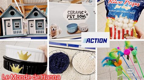 ACTION ARRIVAGE 26 12 ANIMAUX ACCESSOIRES JOUETS REPAS YouTube