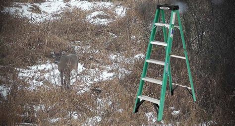 How To Turn A Step Ladder Into A Portable Hunting Stand Hunting