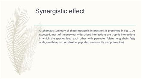 Synergistic And Antagonistic Effects Of Microorganisms Ppt