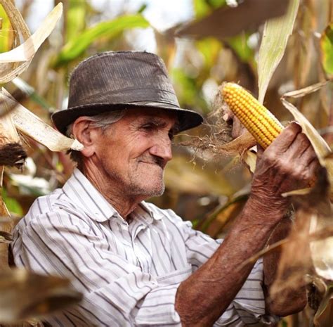 UN DÍA COMO HOY Día del Campesino Se funda Maracay Se funda el