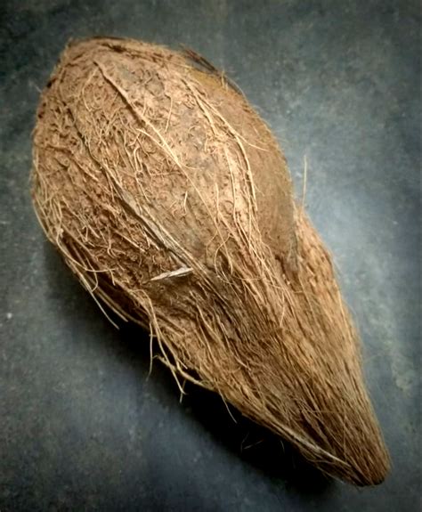 A Grade Solid Semi Husked Coconut Coconut Size Medium At Rs Kg In