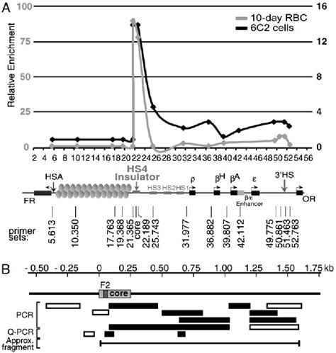 Figure From The Hs Chicken Beta Globin Insulator Is A Ctcf