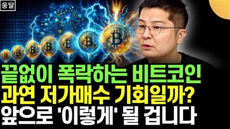 끝없이 폭락하는 비트코인 과연 저가매수 기회일까 앞으로 이렇게 된다 웅달 대표 Youtube