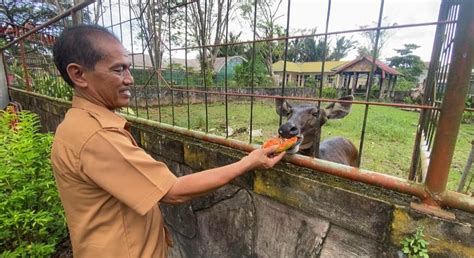 Pemko Banjarmasin Akan Revitalisasi Kebun Binatang Zahri Saleh