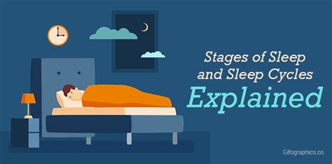 Stages Of Sleep And Sleep Cycles Explained Infographic