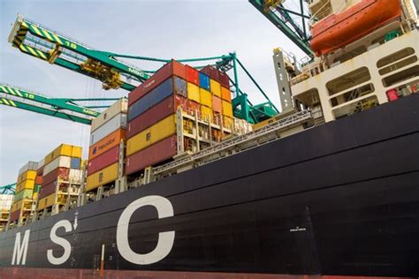 msc  updating  service network container news