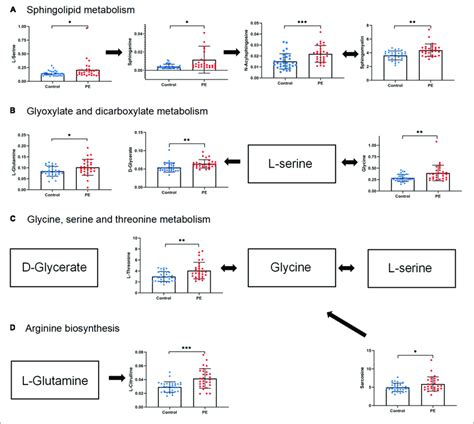 Abundance Of Differential Metabolites In Four Metabolic Pathways