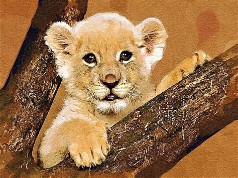 Lion Cub Painting at PaintingValley.com | Explore collection of Lion ...