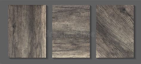 Vector Wooden Background Texture In A4 Size For Design Work Stock