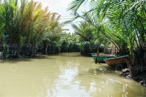 Coconut River Forest With Basket Boats A Unique Vietnamese At Cam