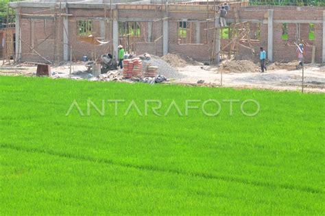 Alih Fungsi Lahan Pertanian Antara Foto