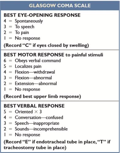 Week Neuro Flashcards Quizlet