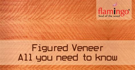 Figured Veneer – Things you need to know | Flamingo Wood Veneers