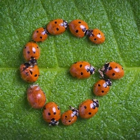 Premium Photo | Innovative Alphabet Design Trends for Modern Typography