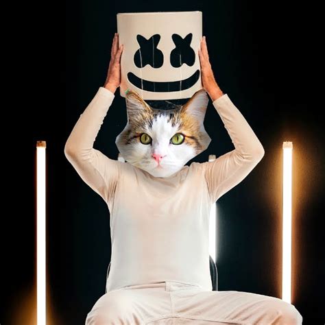 Marshmello face reveal - batmanam