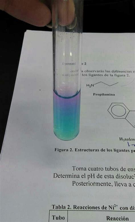 A Hand Holding A Test Tube Filled With Blue And Green Liquid On Top Of