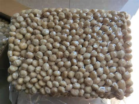 2023 New Crop Roasted Macadamia Nuts For Russia China Hand Peeled And