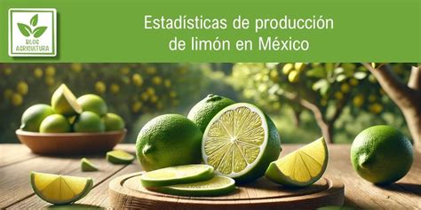 Estad Sticas De Producci N De Lim N En M Xico