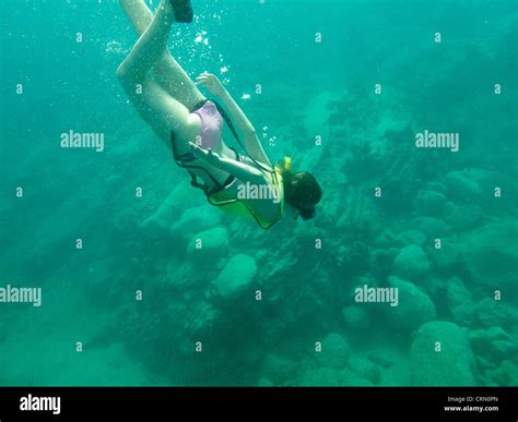 Snorkeling off of St. Maarten Stock Photo - Alamy