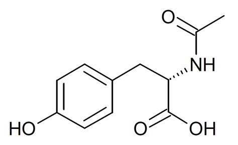 tyrosine  boost dopamine unraveling  facts  noocep