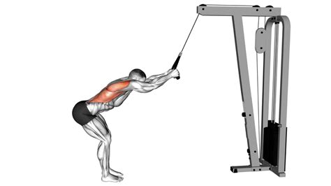 10 Lower Lat Exercises For A Stronger And More Defined Back Workout Guru