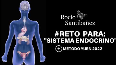 Reto Para Fortalecer El Sistema Endocrino Con Método Yuen Youtube